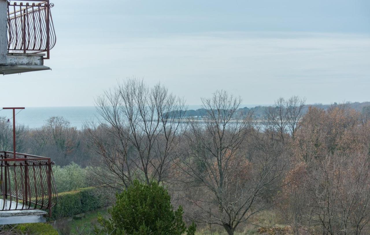 Apartment Roberto Punta Poreč Zewnętrze zdjęcie